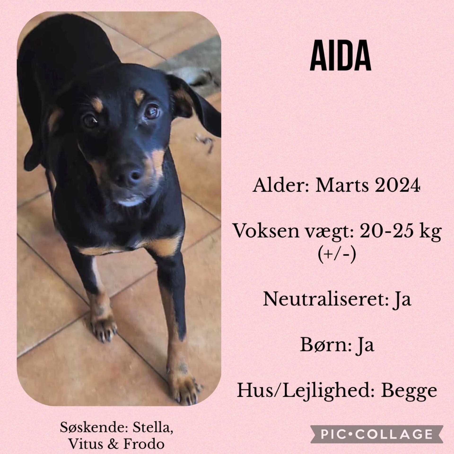 Aida