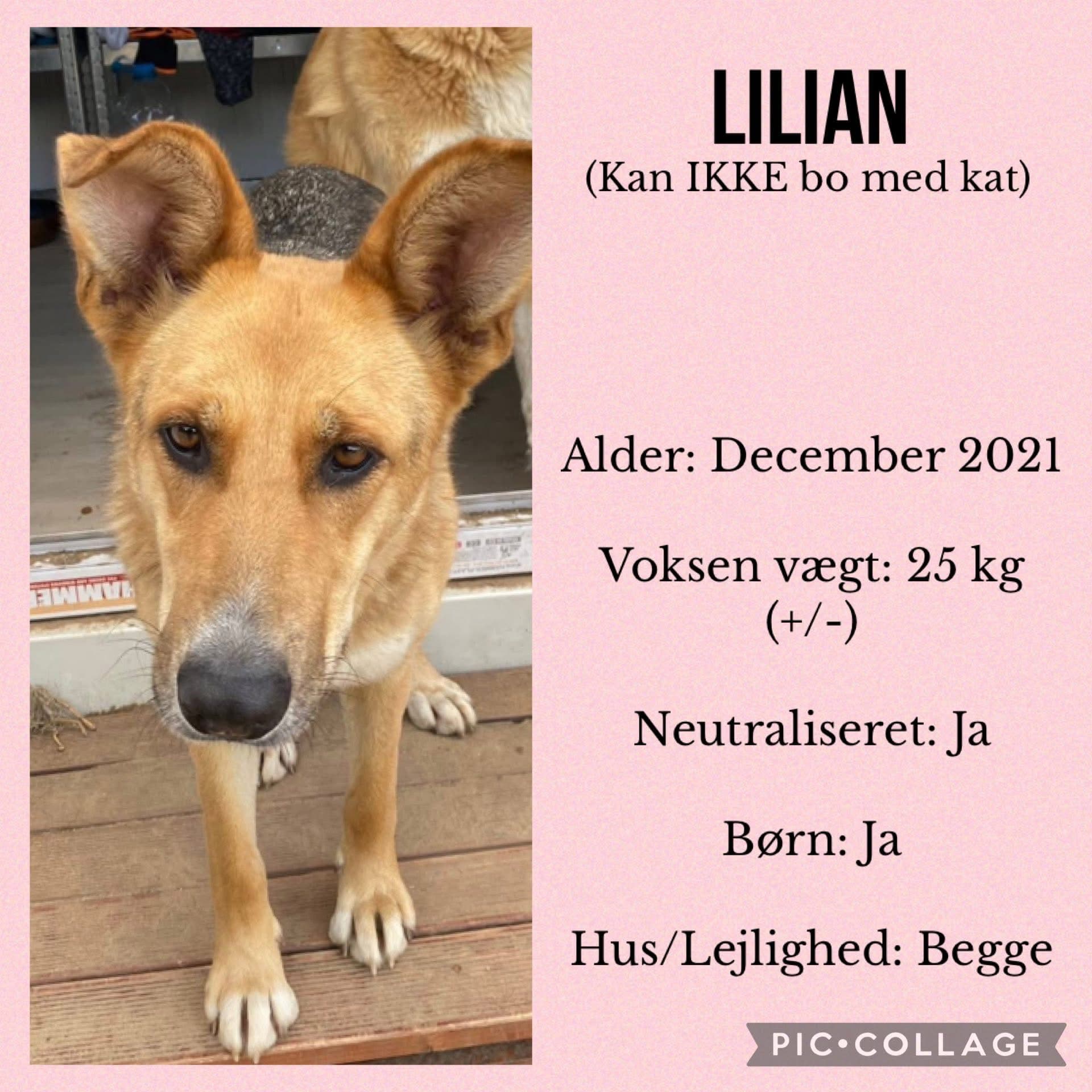 Lillian