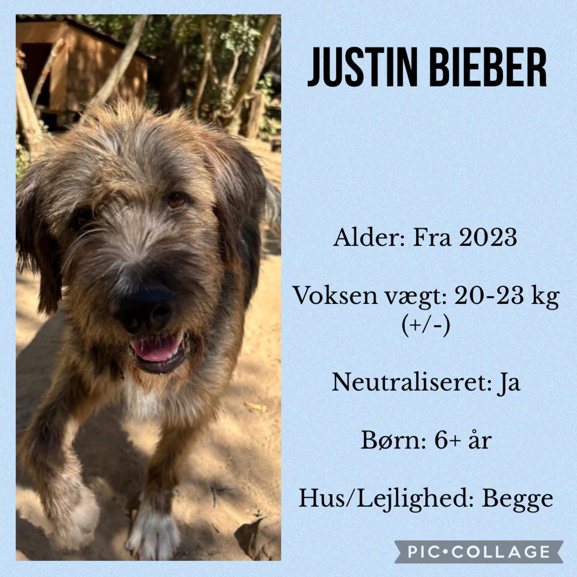 Justin Bieber — hovedbillede