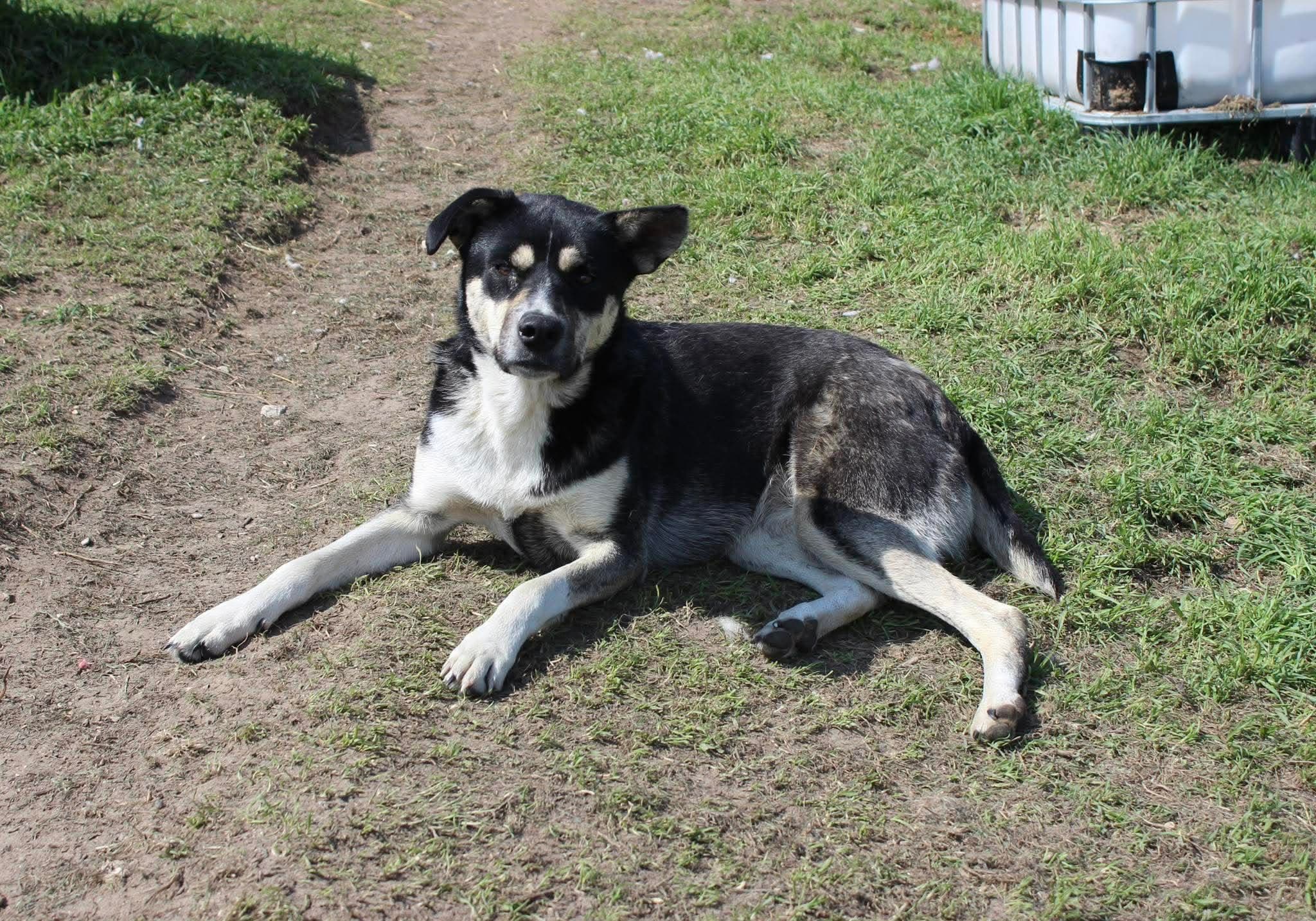 Sunny — hovedbillede