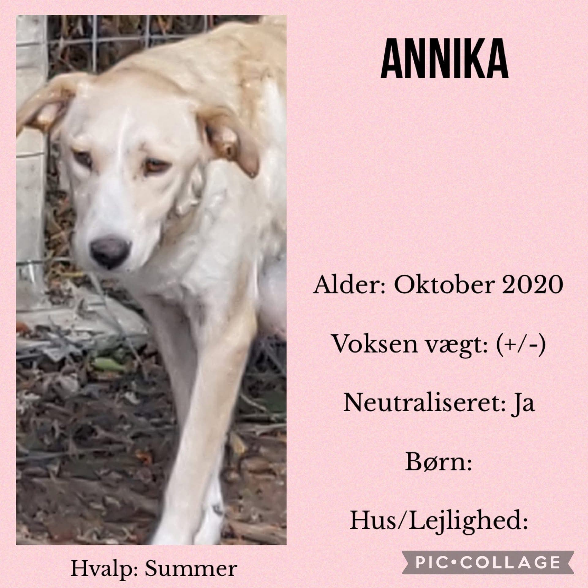 Annika — hovedbillede
