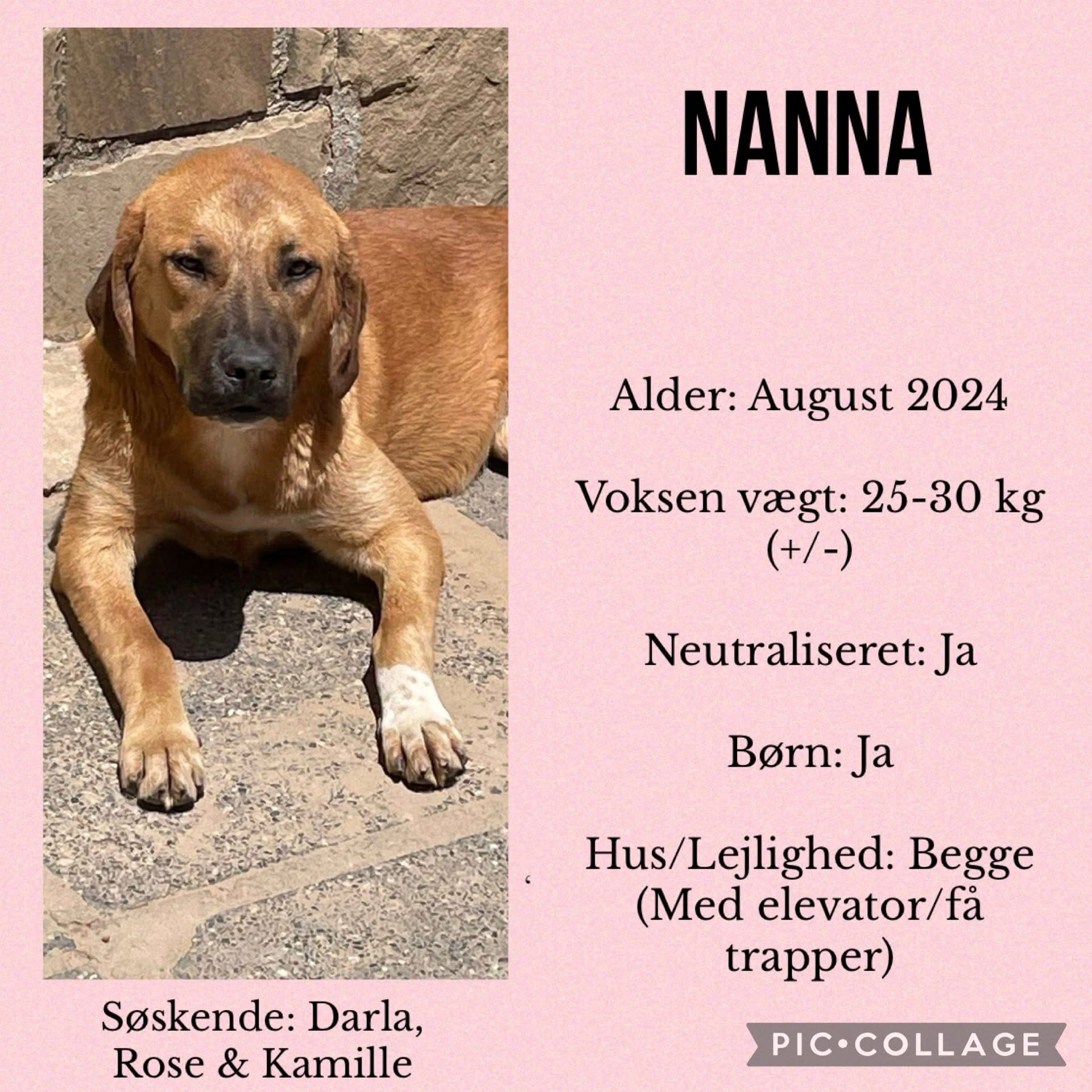 Nanna — hovedbillede